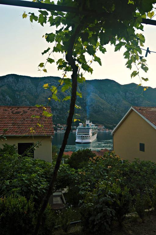 Apartments Bucin Kotor Exterior photo